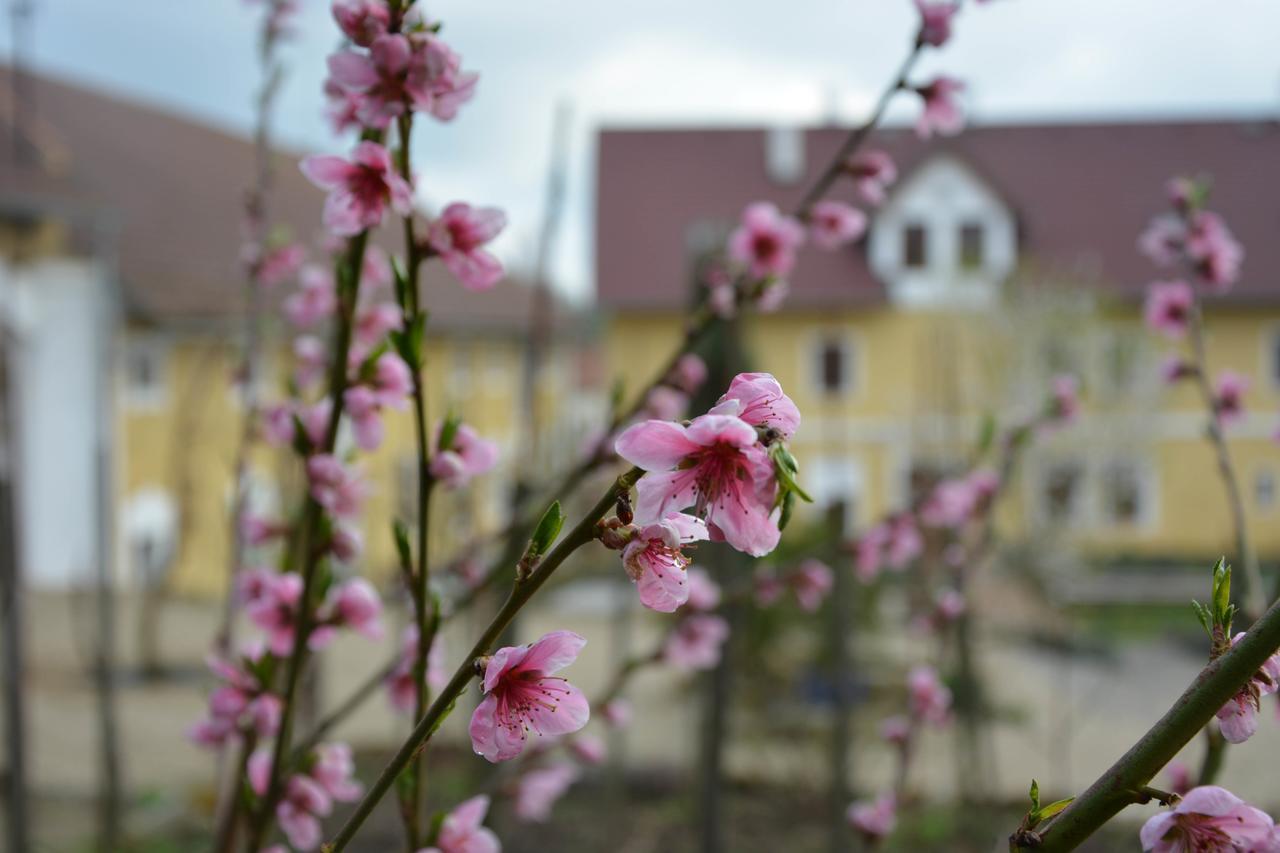 Statek Luníkov Zizice Exterior foto